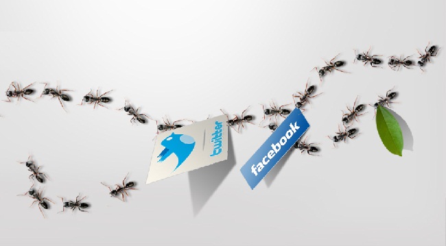 Social_Media_ants_crisis