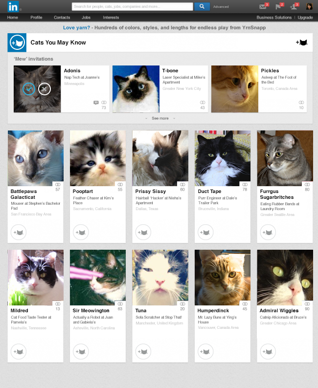 Announcing LinkedIn Cats You May Know: Connecting Felines One Paw at a Time