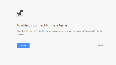 Didi You Know That Dinosaur in Google Chrome (Offline) is a Hidden Game ?