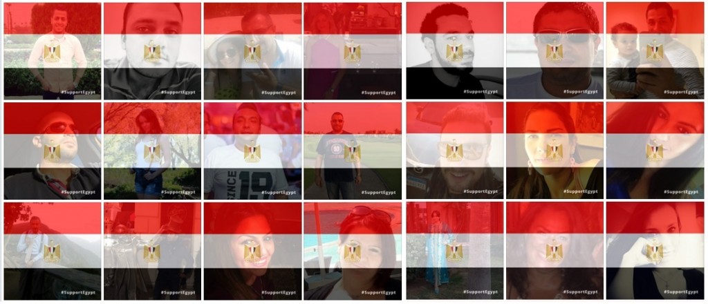 Support Egypt Profile