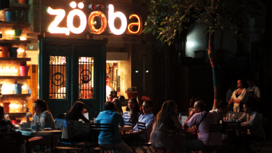 think-marketing-Zooba-marketing–-Cairo-Egypt