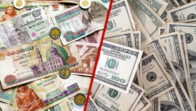 how-egyptian-pound-floating-will-affect-the-digital-marketing-agencies